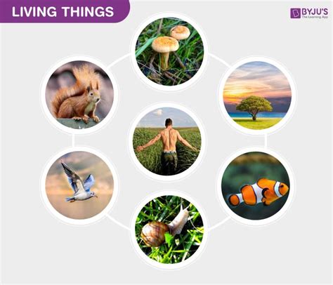 Living Things Images .